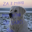 pro v�tka